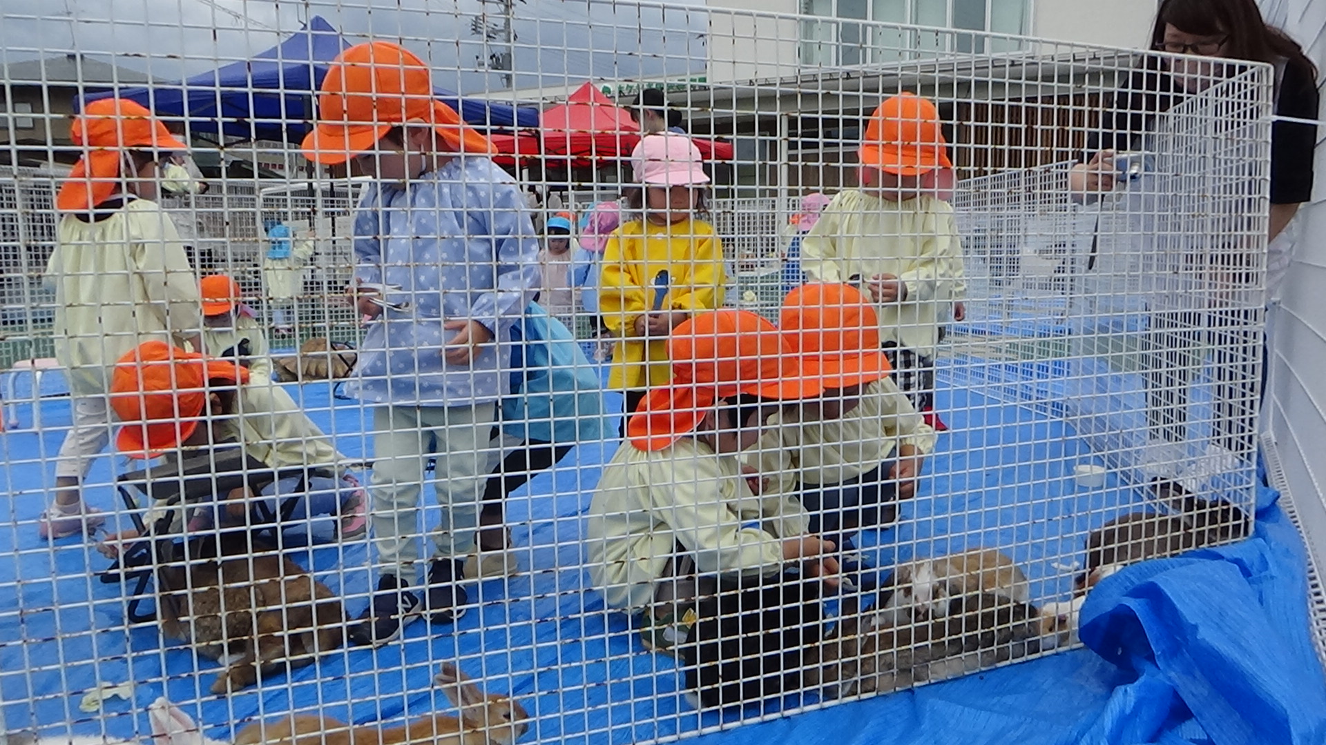 ふれあい移動動物園2